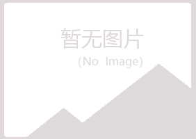 琼山伤口能源有限公司